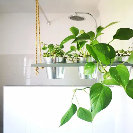 Apartmán Apartma Premrlova *